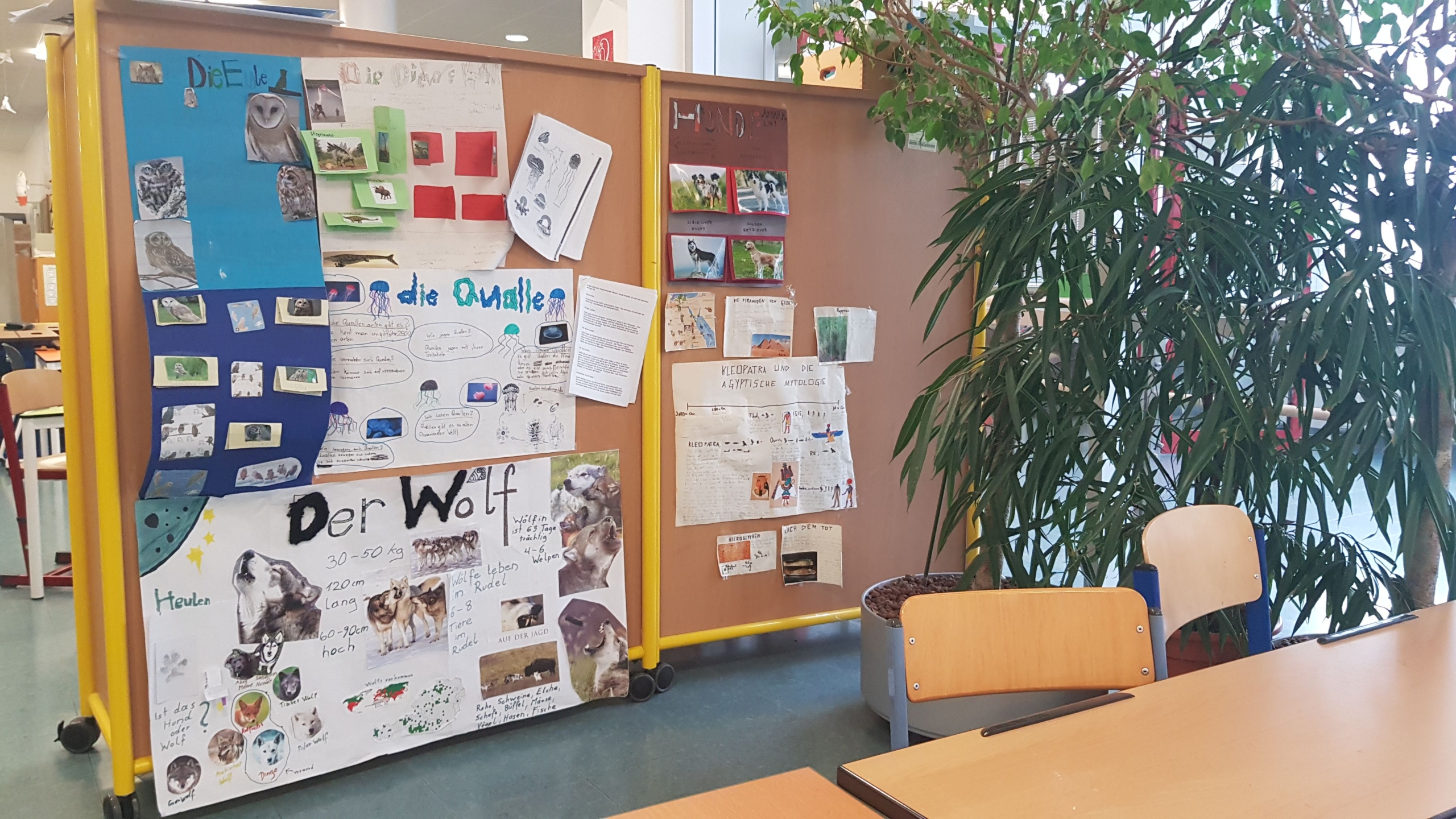 Freiarbeitsbereich In der Schule - Viele selbstgemachte Plakate zu Projektthemen